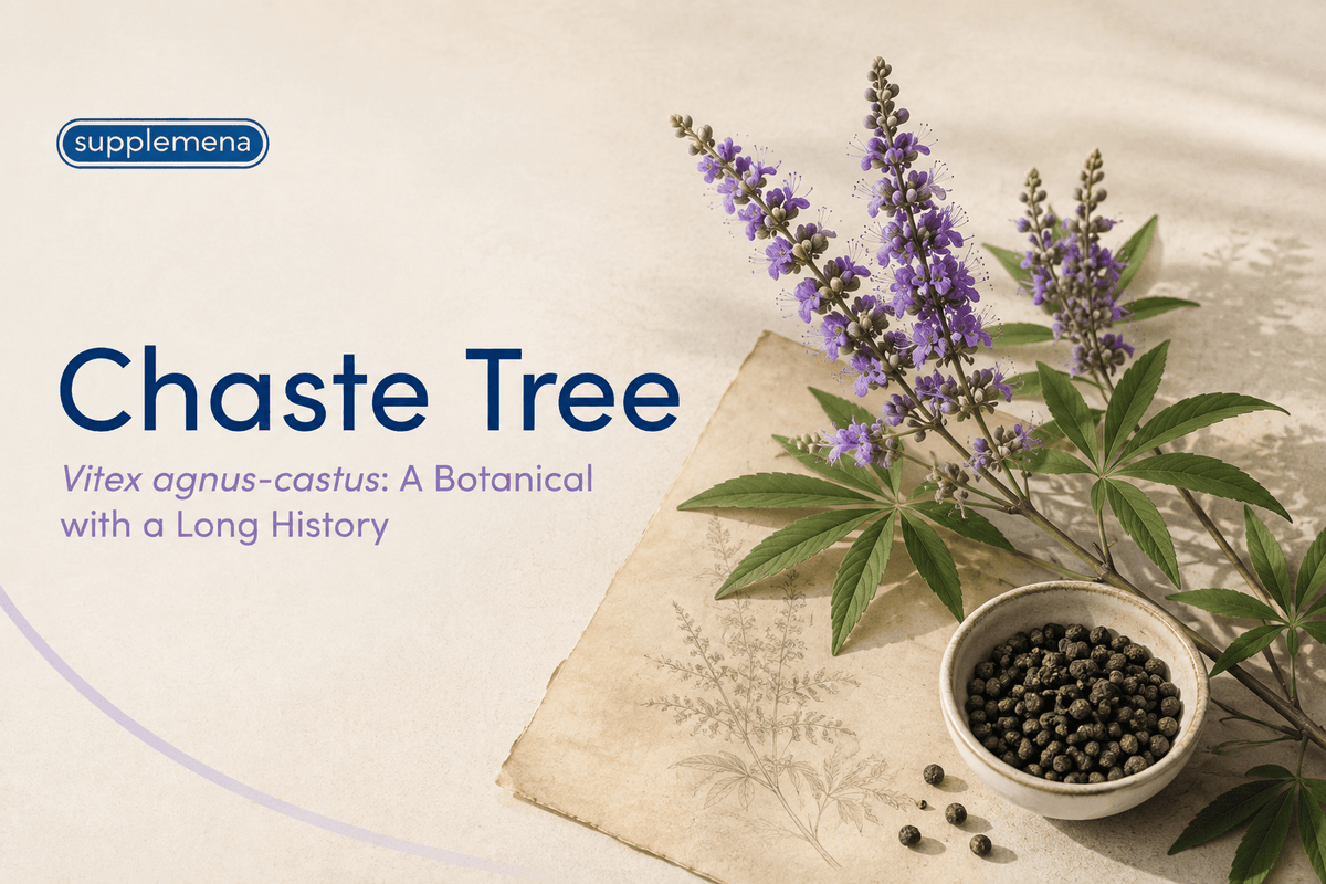 Chaste Tree (Vitex Agnus-Castus): A Botanical with a Long History