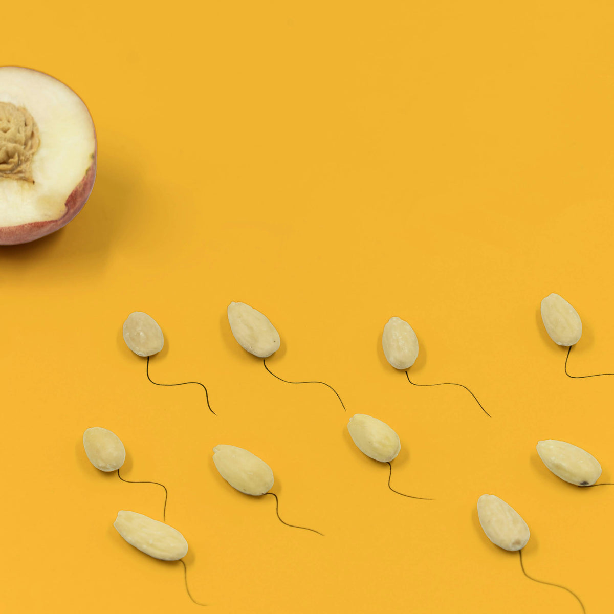 Boost Your Fertility: The Secret Power of L-Carnitine for Sperm Health