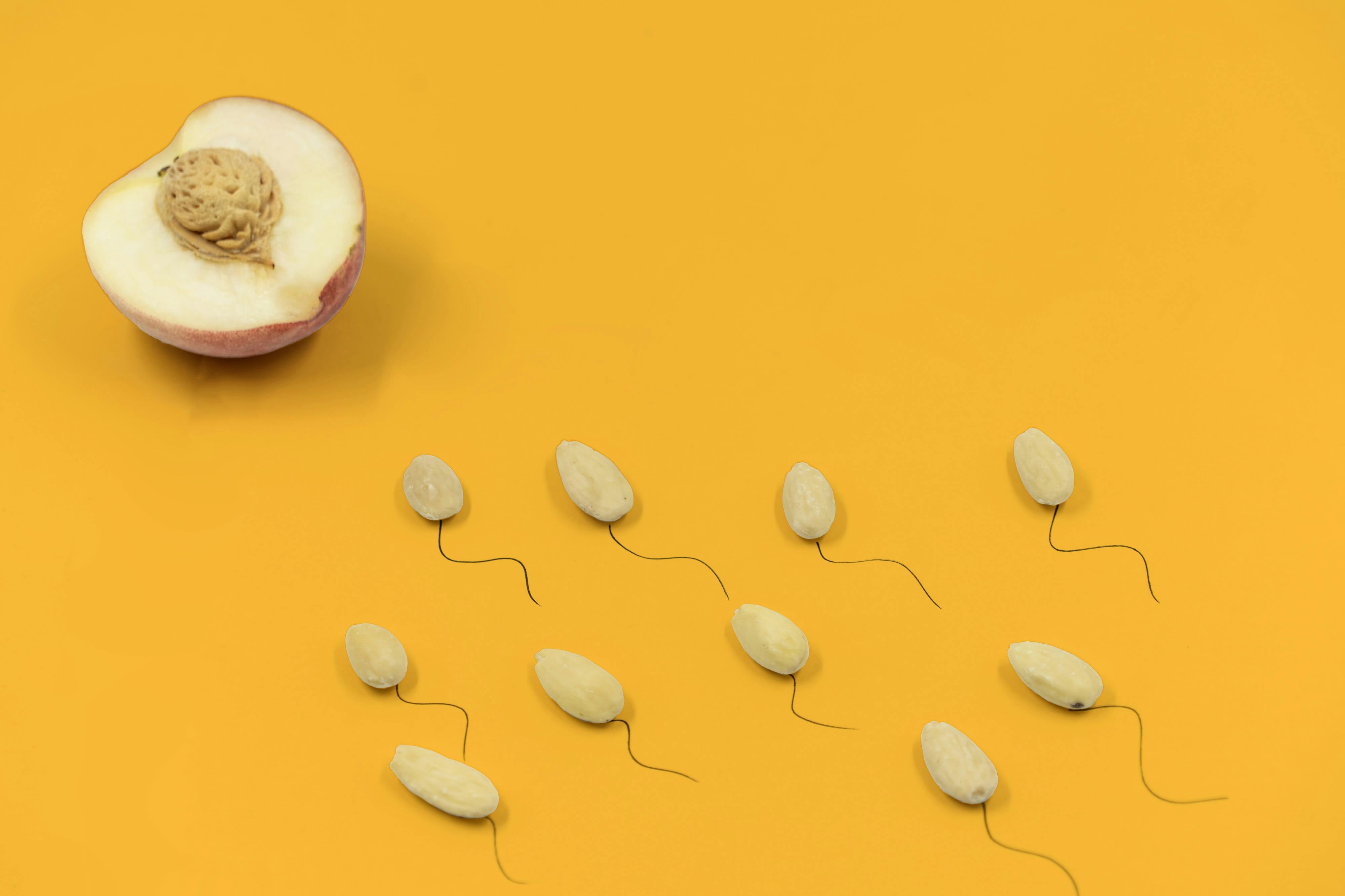 Boost Your Fertility: The Secret Power of L-Carnitine for Sperm Health